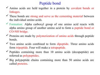 Peptide bond
 Amino acids are held together in a protein by covalent bonds or
linkages.
 These bonds are strong and serve as the cementing material between
the individual amino acids.
 Formation: Alpha carboxyl group of one amino acid reacts with
alpha amino group of another amino acid to form a peptide bond or
CO-NH bridge.
 Proteins are made by polymerization of amino acids through peptide
bonds.
 Two amino acids combined to form dipeptide. Three amino acids
form tripeptide. Four will make a tetrapeptide.
 Peptides containing more than 10 amino acids (decapeptide) are
referred as polypeptides.
 Big polypeptide chains containing more than 50 amino acids are
called proteins.
 