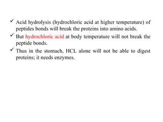  Acid hydrolysis (hydrochloric acid at higher temperature) of
peptides bonds will break the proteins into amino acids.
 But hydrochloric acid at body temperature will not break the
peptide bonds.
 Thus in the stomach, HCL alone will not be able to digest
proteins; it needs enzymes.
 
