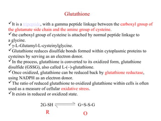 Glutathione
It is a tripeptide, with a gamma peptide linkage between the carboxyl group of
the glutamate side chain and the amine group of cysteine.
the carboxyl group of cysteine is attached by normal peptide linkage to
a glycine.
γ-L-Glutamyl-L-cysteinylglycine.
Glutathione reduces disulfide bonds formed within cytoplasmic proteins to
cysteines by serving as an electron donor.
In the process, glutathione is converted to its oxidized form, glutathione
disulfide (GSSG), also called L-(–)-glutathione.
Once oxidized, glutathione can be reduced back by glutathione reductase,
using NADPH as an electron donor.
The ratio of reduced glutathione to oxidized glutathione within cells is often
used as a measure of cellular oxidative stress.
It exists in reduced or oxidized state.
2G-SH G=S-S-G
R O
 