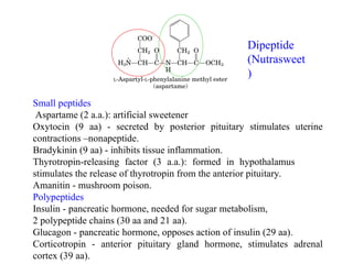 Small peptides
Aspartame (2 a.a.): artificial sweetener
Oxytocin (9 aa) - secreted by posterior pituitary stimulates uterine
contractions –nonapeptide.
Bradykinin (9 aa) - inhibits tissue inflammation.
Thyrotropin-releasing factor (3 a.a.): formed in hypothalamus
stimulates the release of thyrotropin from the anterior pituitary.
Amanitin - mushroom poison.
Polypeptides
Insulin - pancreatic hormone, needed for sugar metabolism,
2 polypeptide chains (30 aa and 21 aa).
Glucagon - pancreatic hormone, opposes action of insulin (29 aa).
Corticotropin - anterior pituitary gland hormone, stimulates adrenal
cortex (39 aa).
Dipeptide
(Nutrasweet
)
 