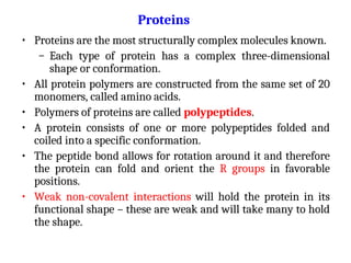 • Proteins are the most structurally complex molecules known.
– Each type of protein has a complex three-dimensional
shape or conformation.
• All protein polymers are constructed from the same set of 20
monomers, called amino acids.
• Polymers of proteins are called polypeptides.
• A protein consists of one or more polypeptides folded and
coiled into a specific conformation.
• The peptide bond allows for rotation around it and therefore
the protein can fold and orient the R groups in favorable
positions.
• Weak non-covalent interactions will hold the protein in its
functional shape – these are weak and will take many to hold
the shape.
Proteins
 