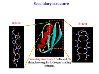 Secondary structure
-helix
α -sheet
β
Secondary structures, -helix and -
α β
sheet, have regular hydrogen-bonding
patterns.
 