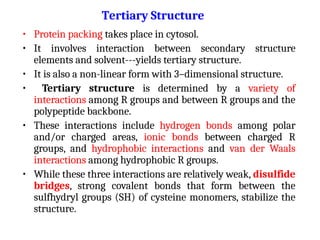 • Protein packing takes place in cytosol.
• It involves interaction between secondary structure
elements and solvent---yields tertiary structure.
• It is also a non-linear form with 3–dimensional structure.
• Tertiary structure is determined by a variety of
interactions among R groups and between R groups and the
polypeptide backbone.
• These interactions include hydrogen bonds among polar
and/or charged areas, ionic bonds between charged R
groups, and hydrophobic interactions and van der Waals
interactions among hydrophobic R groups.
• While these three interactions are relatively weak, disulfide
bridges, strong covalent bonds that form between the
sulfhydryl groups (SH) of cysteine monomers, stabilize the
structure.
Tertiary Structure
 