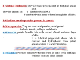 2- Globins (Histones): They are basic proteins rich in histidine amino
acid.
They are present in : a - combined with DNA
b-combined with heme to form hemoglobin of RBCs.
3- Gliadines are the proteins present in cereals.
4- Scleroproteins: They are structural proteins, not digested.
include: keratin, collagen and elastin.
a- α-keratin: protein found in hair, nails, enamel of teeth and outer layer
of skin.
• It is α-helical polypeptide chain, rich in
cysteine and hydrophobic (non polar)
amino acids so it is water insoluble.
b- collagens:protein of connective tissues found in bone, teeth, cartilage,
tendons, skin and blood vessels.
 