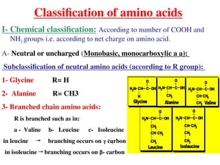 Amino_acids_and_protein_biochemistry_ppt-1.ppt
