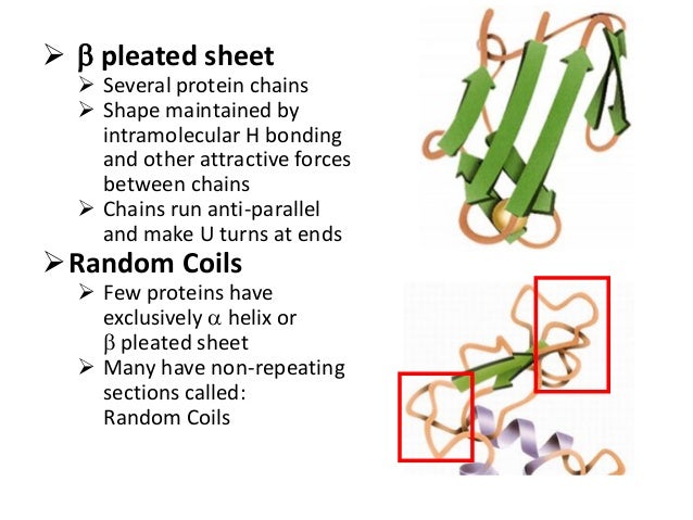 bridges of tertiary in structure proteins salt Amino acids proteins and