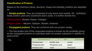 Aminoacids and proteins | PPT