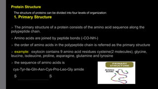 Protein Structure
 The primary structure of a protein consists of the amino acid sequence along the
polypeptide chain.
 Amino acids are joined by peptide bonds (-CO-NH-)
 the order of amino acids in the polypeptide chain is referred as the primary structure
 example: oxytocin contains 9 amino acid residues cysteine(2 molecules), glycine,
leucine, isoleucine, proline, asparagine, glutamine and tyrosine
 the sequence of amino acids is
cys-Tyr-Ile-Gln-Asn-Cys-Pro-Leo-Gly amide
S S
The structure of proteins can be divided into four levels of organization:
1. Primary Structure
 