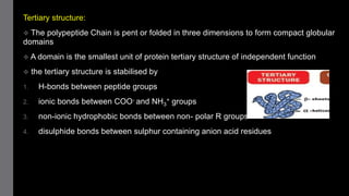 Tertiary structure:
 The polypeptide Chain is pent or folded in three dimensions to form compact globular
domains
 A domain is the smallest unit of protein tertiary structure of independent function
 the tertiary structure is stabilised by
1. H-bonds between peptide groups
2. ionic bonds between COO- and NH3
+ groups
3. non-ionic hydrophobic bonds between non- polar R groups
4. disulphide bonds between sulphur containing anion acid residues
 
