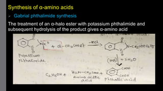 Synthesis of α-amino acids
 Gabrial phthalimide synthesis
The treatment of an α-halo ester with potassium phthalimide and
subsequent hydrolysis of the product gives α-amino acid
 