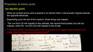 Properties of amino acids
iso electric point
 When an ionized amino acid is placed in an electric field, it will actually migrate towards
the opposite electrode.
 Depending upon the pH of the medium, three things can happen
 The +ve form (II) will migrate to the cathode, the neutral form(zwitter ion) will not
migrate, while the –ve form (III) will migrate to the anode
 “ The pH at which the amino acid shows no tendency to migrate when placed in an
electric field is known as its isoelectric point”
 