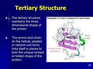 Amino_Acids_and_Proteins.ppt