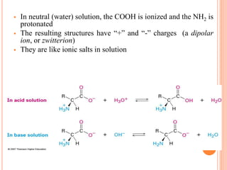 Amino Acids and Proteins.ppt