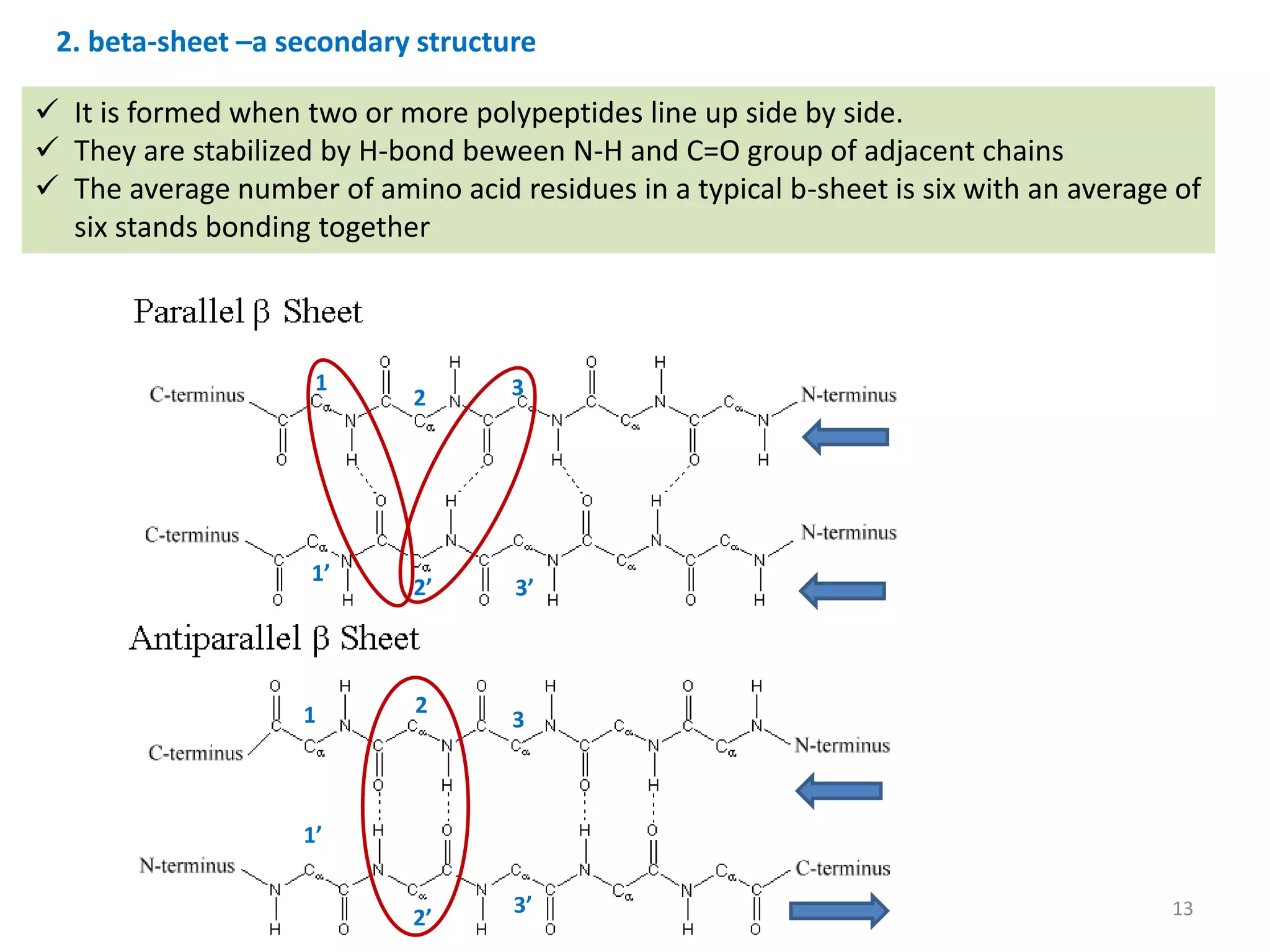 Amino acids and structure of protein.pptx
