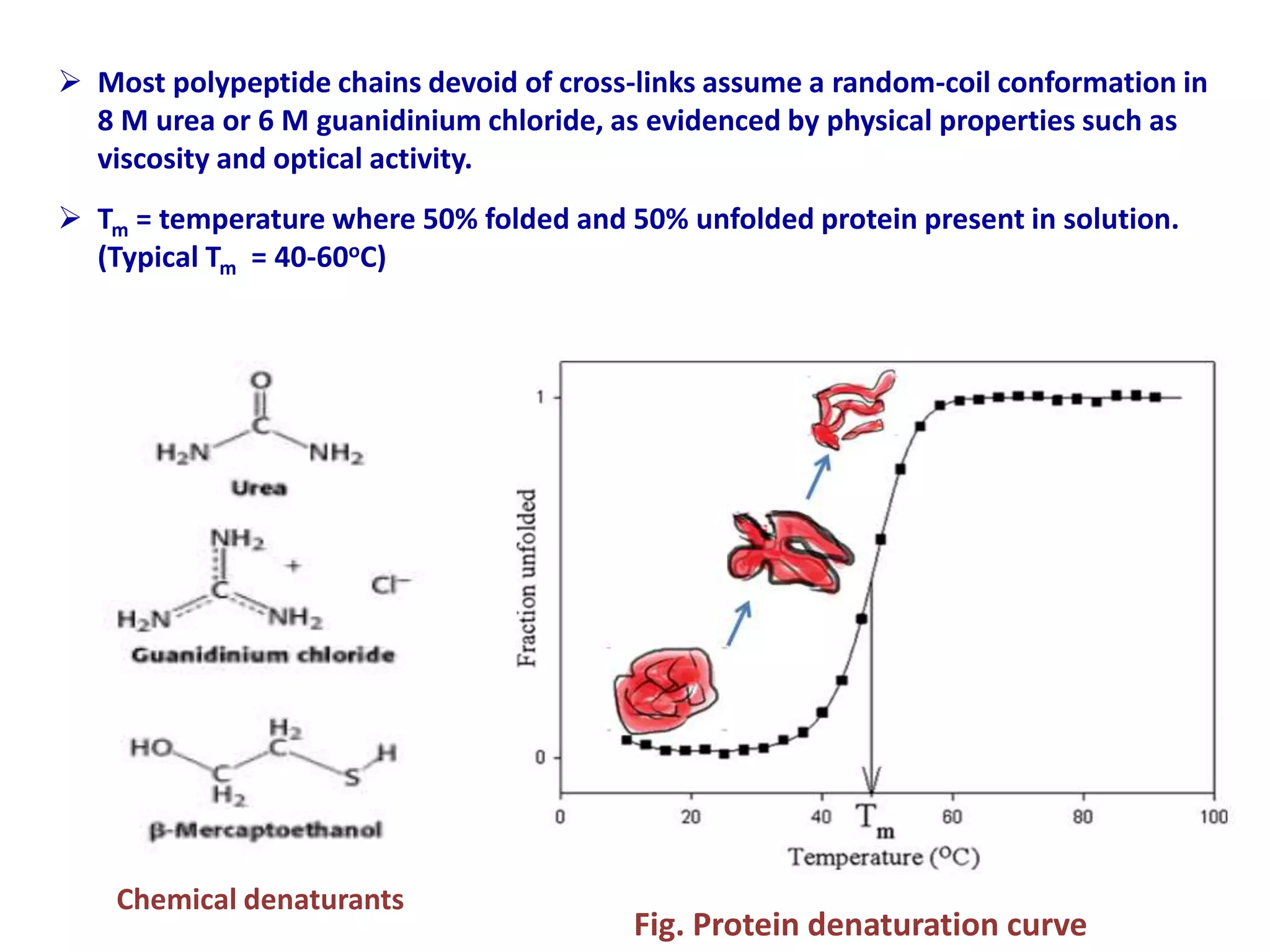 Amino acids and structure of protein.pptx