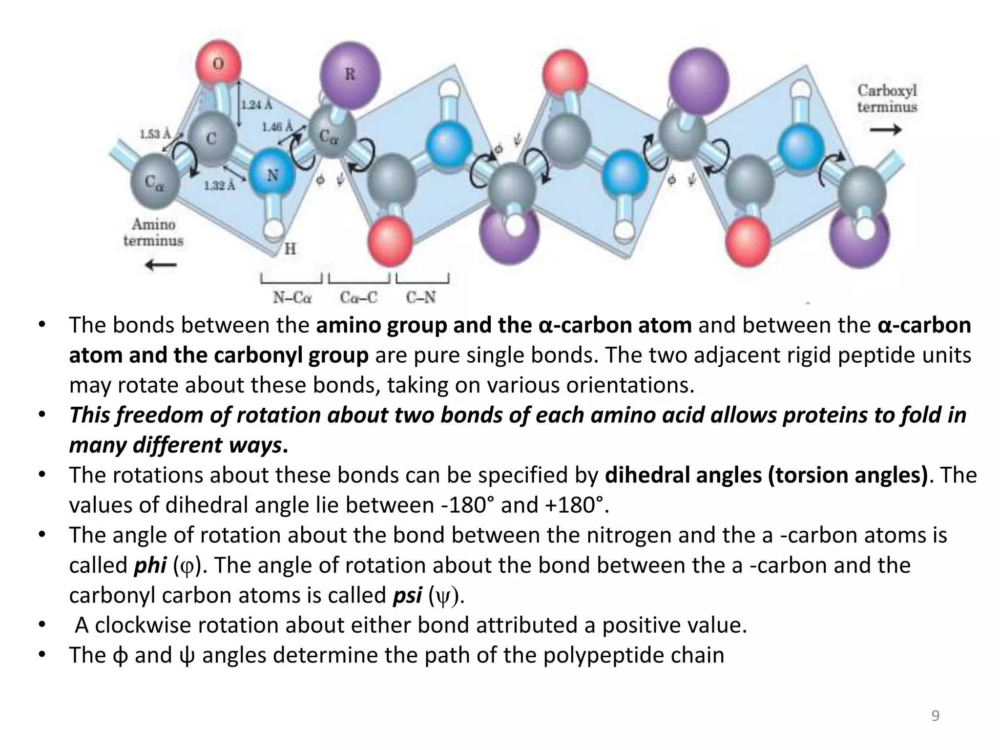 Amino acids and structure of protein.pptx