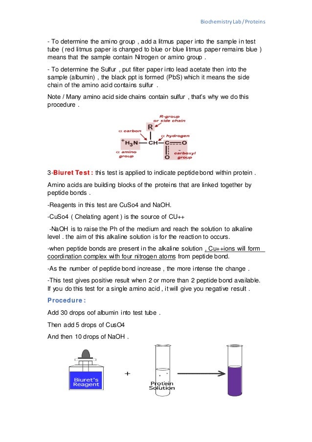 Tests for proteins Biochemistry lab