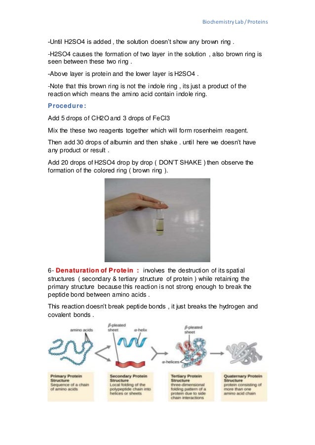 Tests for proteins Biochemistry lab