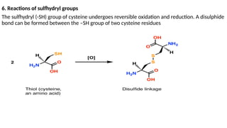 Sulfhydryl Example AMINO ACIDS bch 201-1.pptx BioChemistry Amino acids | PPTX