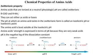 AMINO ACIDS bch 201-1.pptx BioChemistry Amino acids | PPTX