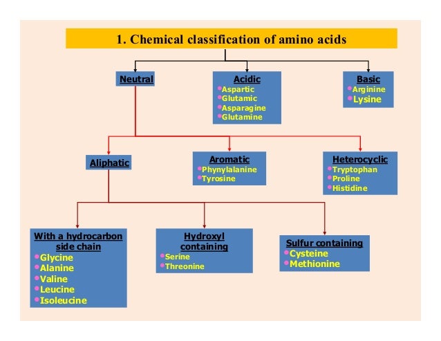 Amino acid sdk (biochem)