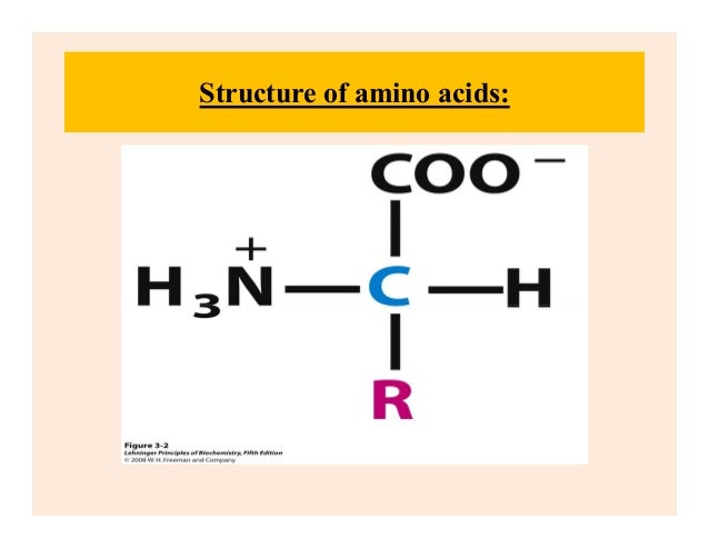 structure of an amino acid structure of an amino acid