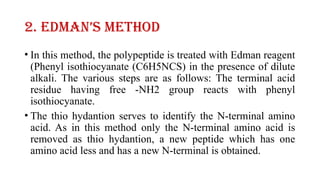 Amino Acid Sequences and Their Determination Methods | PPTX