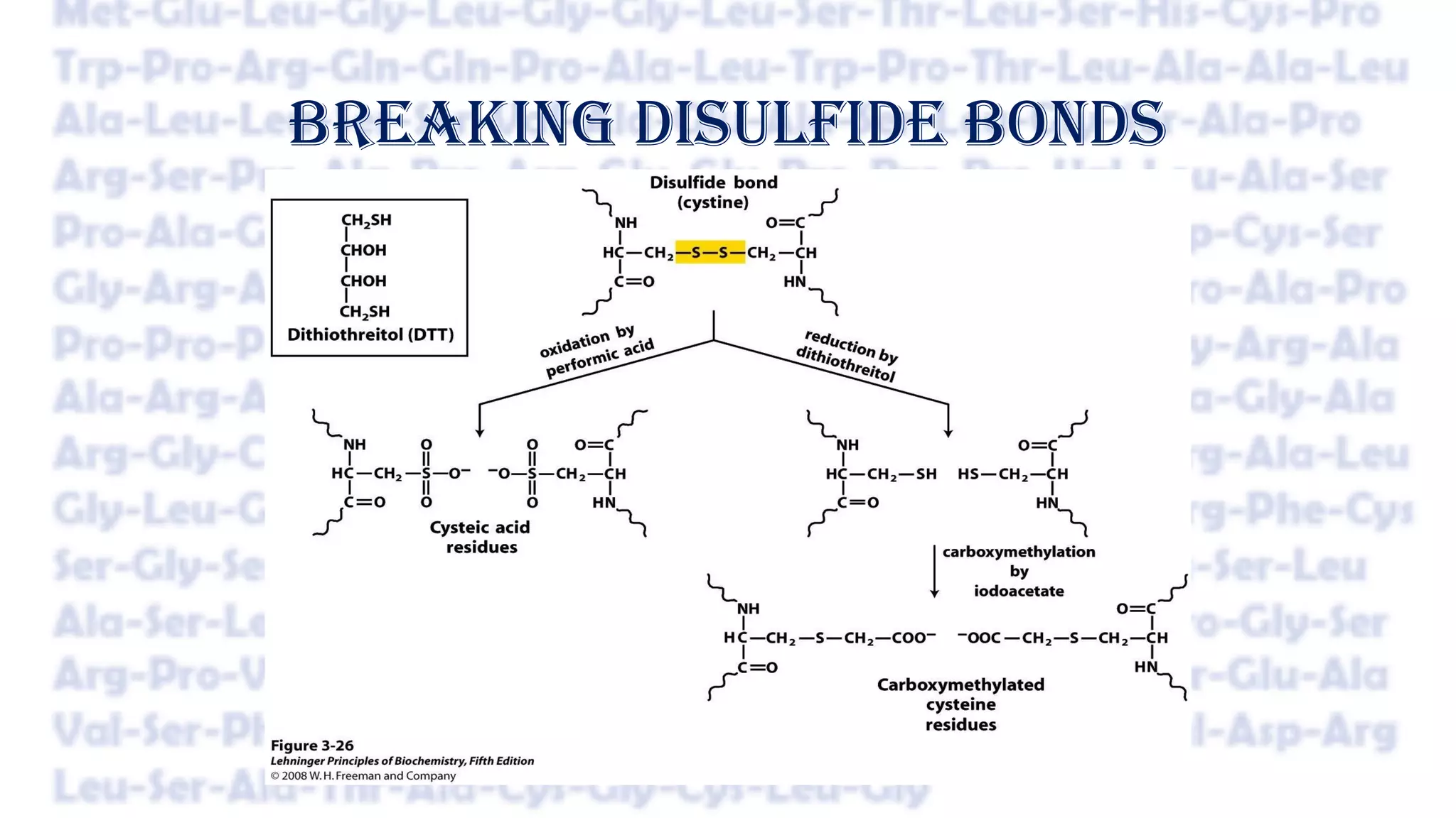 Disulfide Bond Example Amino acid sequencing | PPT