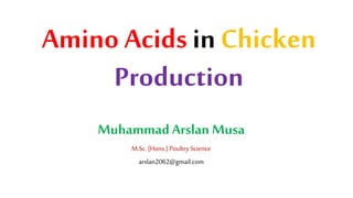 Amino Acids inChicken
Production
MuhammadArslan Musa
M.Sc.(Hons.) Poultry Science
arslan2062@gmail.com
 
