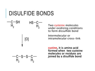 Disulfide Bond Example amino acids lecture.ppt