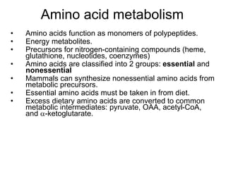 Amino acid metabolism
• Amino acids function as monomers of polypeptides.
• Energy metabolites.
• Precursors for nitrogen-containing compounds (heme,
glutathione, nucleotides, coenzymes)
• Amino acids are classified into 2 groups: essential and
nonessential
• Mammals can synthesize nonessential amino acids from
metabolic precursors.
• Essential amino acids must be taken in from diet.
• Excess dietary amino acids are converted to common
metabolic intermediates: pyruvate, OAA, acetyl-CoA,
and -ketoglutarate.
 