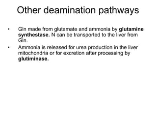 Other deamination pathways
• Gln made from glutamate and ammonia by glutamine
synthestase. N can be transported to the liver from
Gln.
• Ammonia is released for urea production in the liver
mitochondria or for excretion after processing by
glutiminase.
 