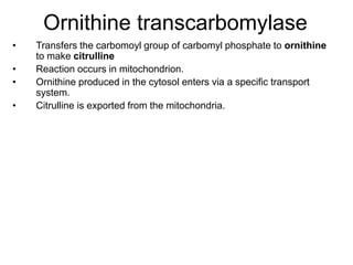 Ornithine transcarbomylase
• Transfers the carbomoyl group of carbomyl phosphate to ornithine
to make citrulline
• Reaction occurs in mitochondrion.
• Ornithine produced in the cytosol enters via a specific transport
system.
• Citrulline is exported from the mitochondria.
 