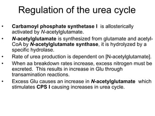 Regulation of the urea cycle
• Carbamoyl phosphate synthetase I is allosterically
activated by N-acetylglutamate.
• N-acetylglutamate is synthesized from glutamate and acetyl-
CoA by N-acetylglutamate synthase, it is hydrolyzed by a
specific hydrolase.
• Rate of urea production is dependent on [N-acetylglutamate].
• When aa breakdown rates increase, excess nitrogen must be
excreted. This results in increase in Glu through
transamination reactions.
• Excess Glu causes an increase in N-acetylglutamate which
stimulates CPS I causing increases in urea cycle.
 