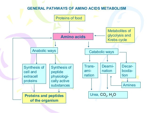 Fatty Acid Oxidation Disorder Diet Foods