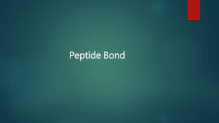 Peptide Bond
 