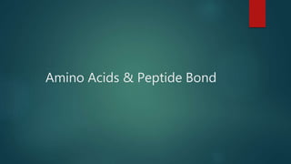 Amino Acids & Peptide Bond
 