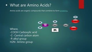  What are Amino Acids?
Amino acids are organic compounds that combine to form proteins.
Where,
-COOH Carboxylic acid
-C- Central carbon atom
-R alkyl group
H2N- Amino group
 
