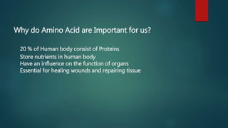 Why do Amino Acid are Important for us?
20 % of Human body consist of Proteins
Store nutrients in human body
Have an influence on the function of organs
Essential for healing wounds and repairing tissue
 