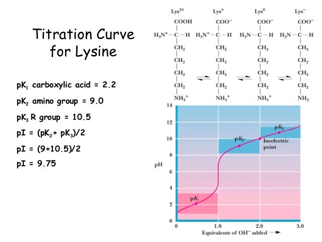 calculate pi of lysine