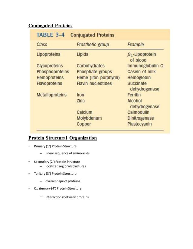 Amino acids, peptides & proteins | DOCX