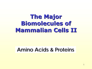 1
The MajorThe Major
Biomolecules ofBiomolecules of
MammalianMammalian Cells IICells II
Amino Acids & ProteinsAmino Acids & Proteins
 