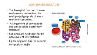 Amino acids, Structure of Protein and Amino acid metabolism | PPTX