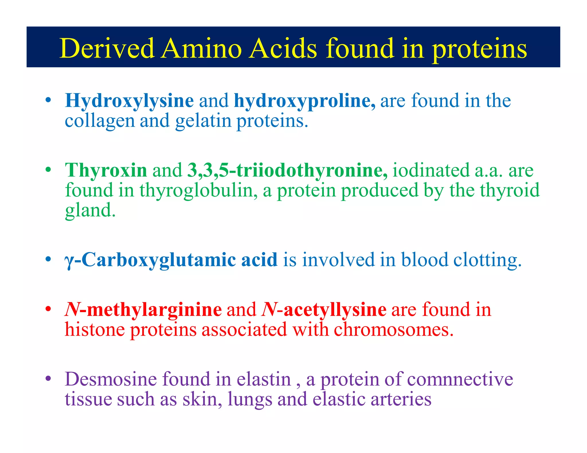 Derived Amino Acids found in proteins
• Hydroxylysine and hydroxyproline, are found in the
collagen and gelatin proteins.
• Thyroxin and 3,3,5-triiodothyronine, iodinated a.a. are
found in thyroglobulin, a protein produced by the thyroid
gland.
• γ-Carboxyglutamic acid is involved in blood clotting.
• N-methylarginine and N-acetyllysine are found in
histone proteins associated with chromosomes.
• Desmosine found in elastin , a protein of comnnective
tissue such as skin, lungs and elastic arteries
.
 