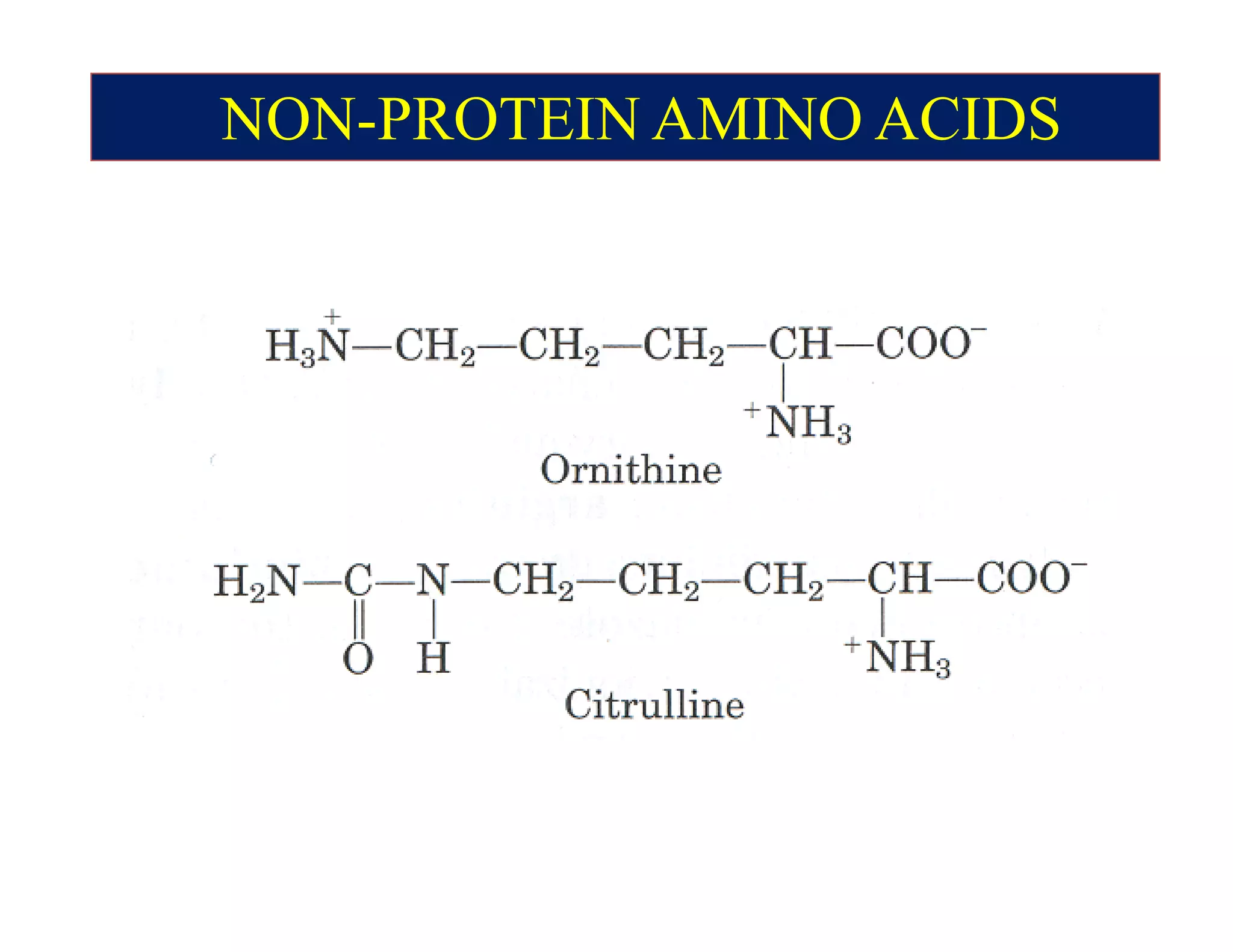 NON-PROTEIN AMINO ACIDS
 