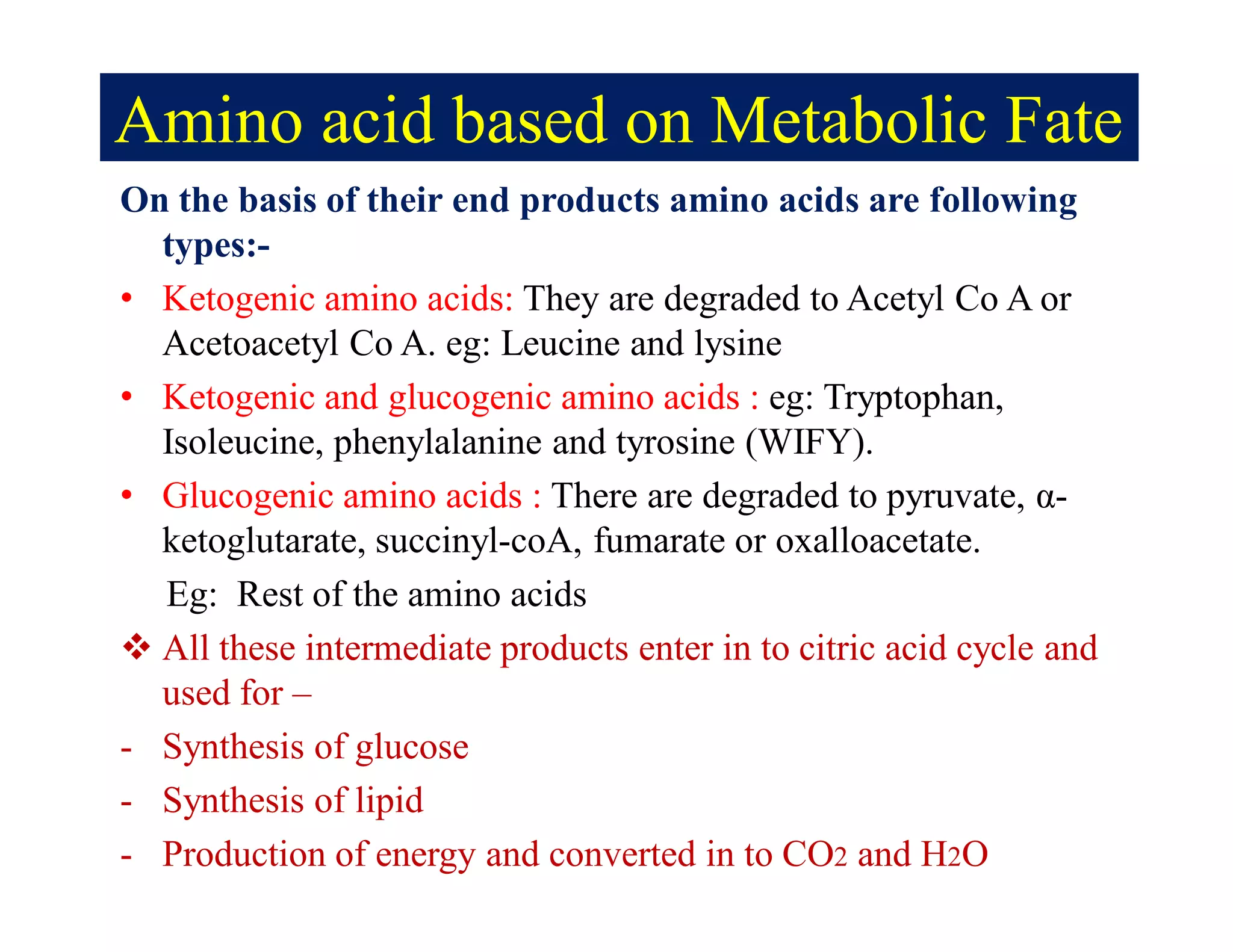 Amino acid based on Metabolic Fate
On the basis of their end products amino acids are following
types:-
• Ketogenic amino acids: They are degraded to Acetyl Co A or
Acetoacetyl Co A. eg: Leucine and lysine
• Ketogenic and glucogenic amino acids : eg: Tryptophan,
Isoleucine, phenylalanine and tyrosine (WIFY).
• Glucogenic amino acids : There are degraded to pyruvate, α-
ketoglutarate, succinyl-coA, fumarate or oxalloacetate.
Eg: Rest of the amino acids
 All these intermediate products enter in to citric acid cycle and
used for –
- Synthesis of glucose
- Synthesis of lipid
- Production of energy and converted in to CO2 and H2O
 