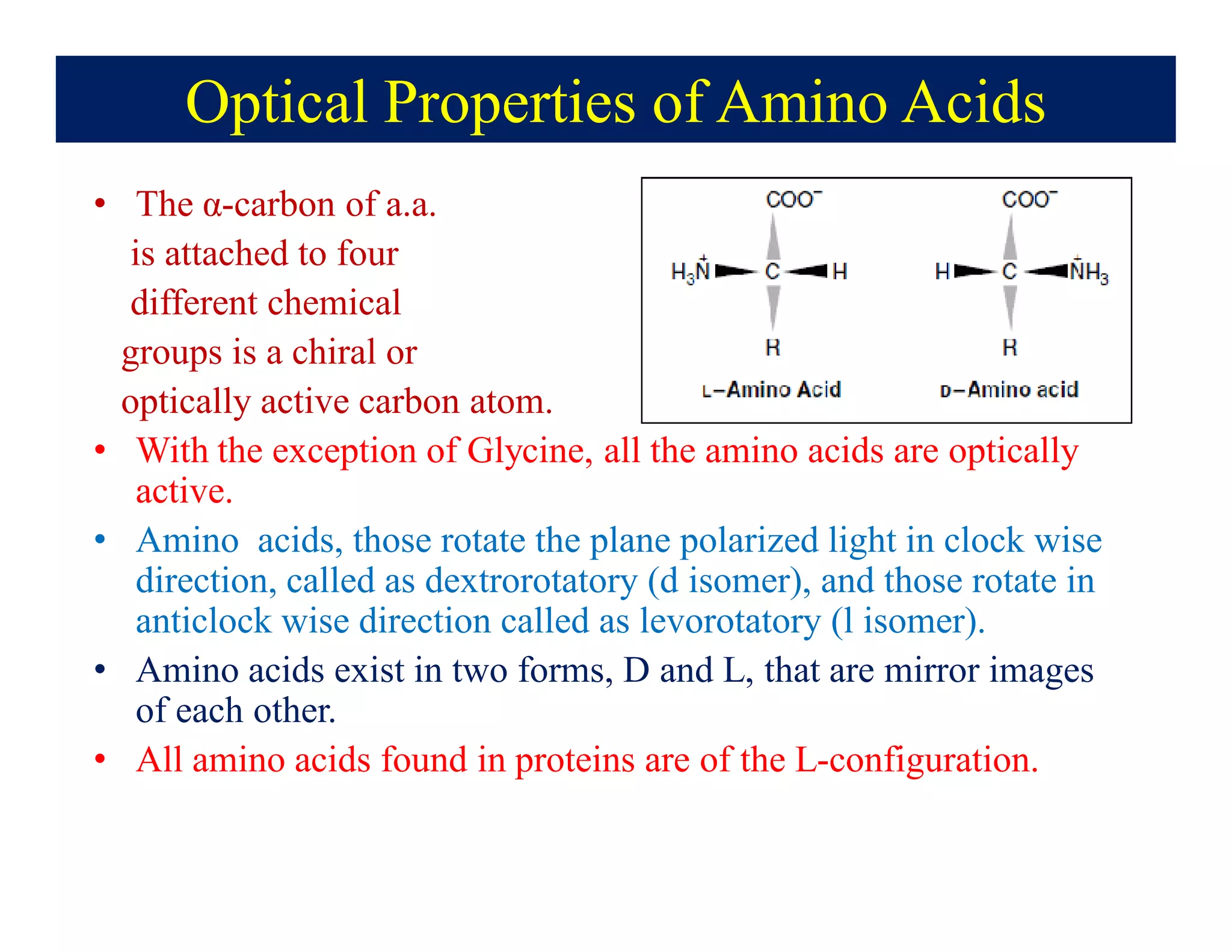 Optical Properties of Amino Acids
• The α-carbon of a.a.
is attached to four
different chemical
groups is a chiral or
optically active carbon atom.
• With the exception of Glycine, all the amino acids are optically
active.
• Amino acids, those rotate the plane polarized light in clock wise
direction, called as dextrorotatory (d isomer), and those rotate in
anticlock wise direction called as levorotatory (l isomer).
• Amino acids exist in two forms, D and L, that are mirror images
of each other.
• All amino acids found in proteins are of the L-configuration.
 