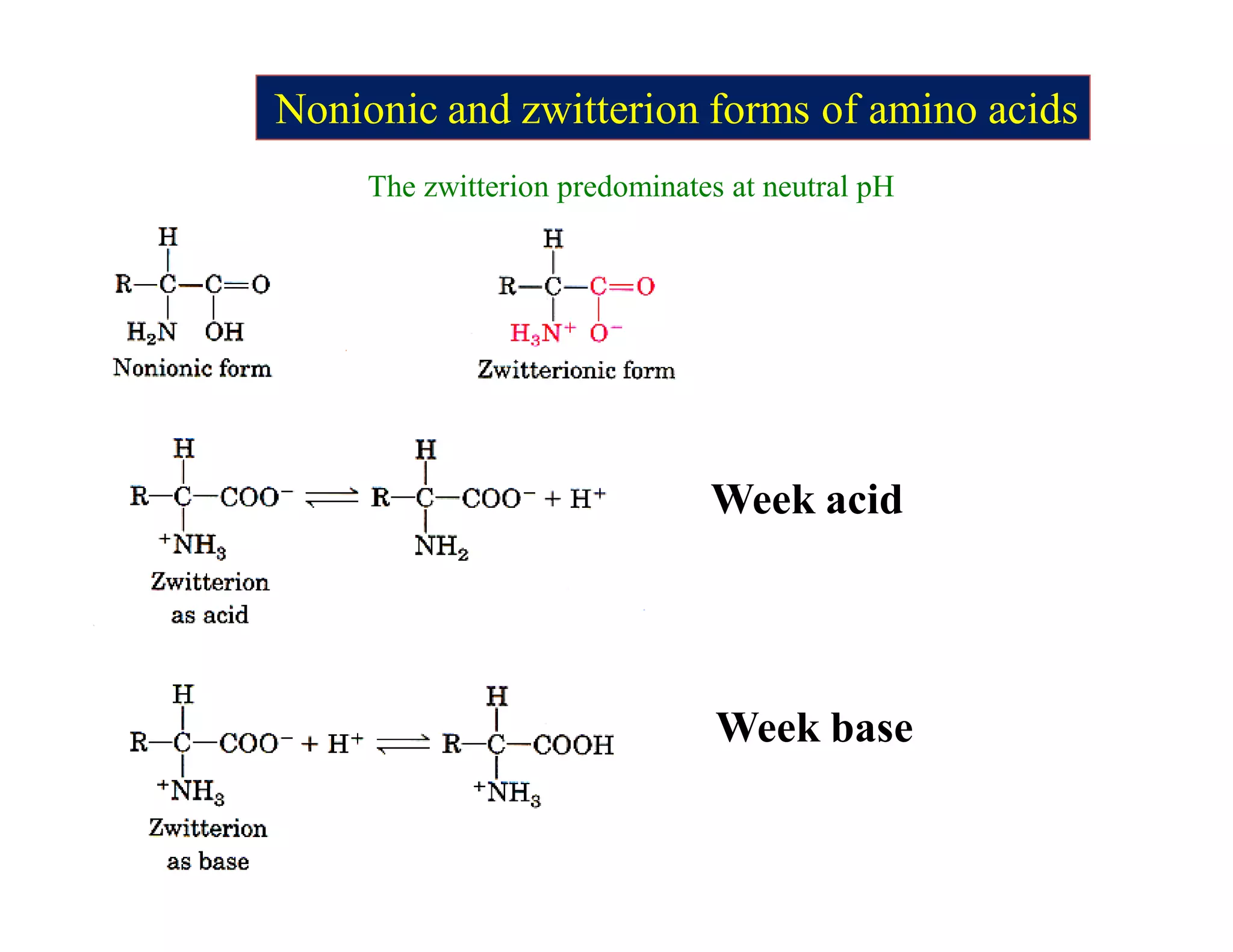 Nonionic and zwitterion forms of amino acids
The zwitterion predominates at neutral pH
Week acid
Week base
 
