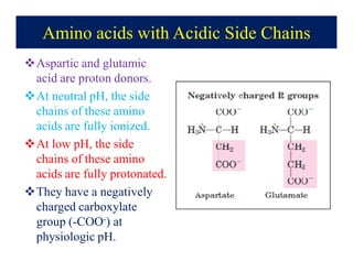 Amino acids structure | PDF