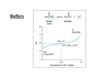 Amino acids structure | PDF | Chemistry | Science